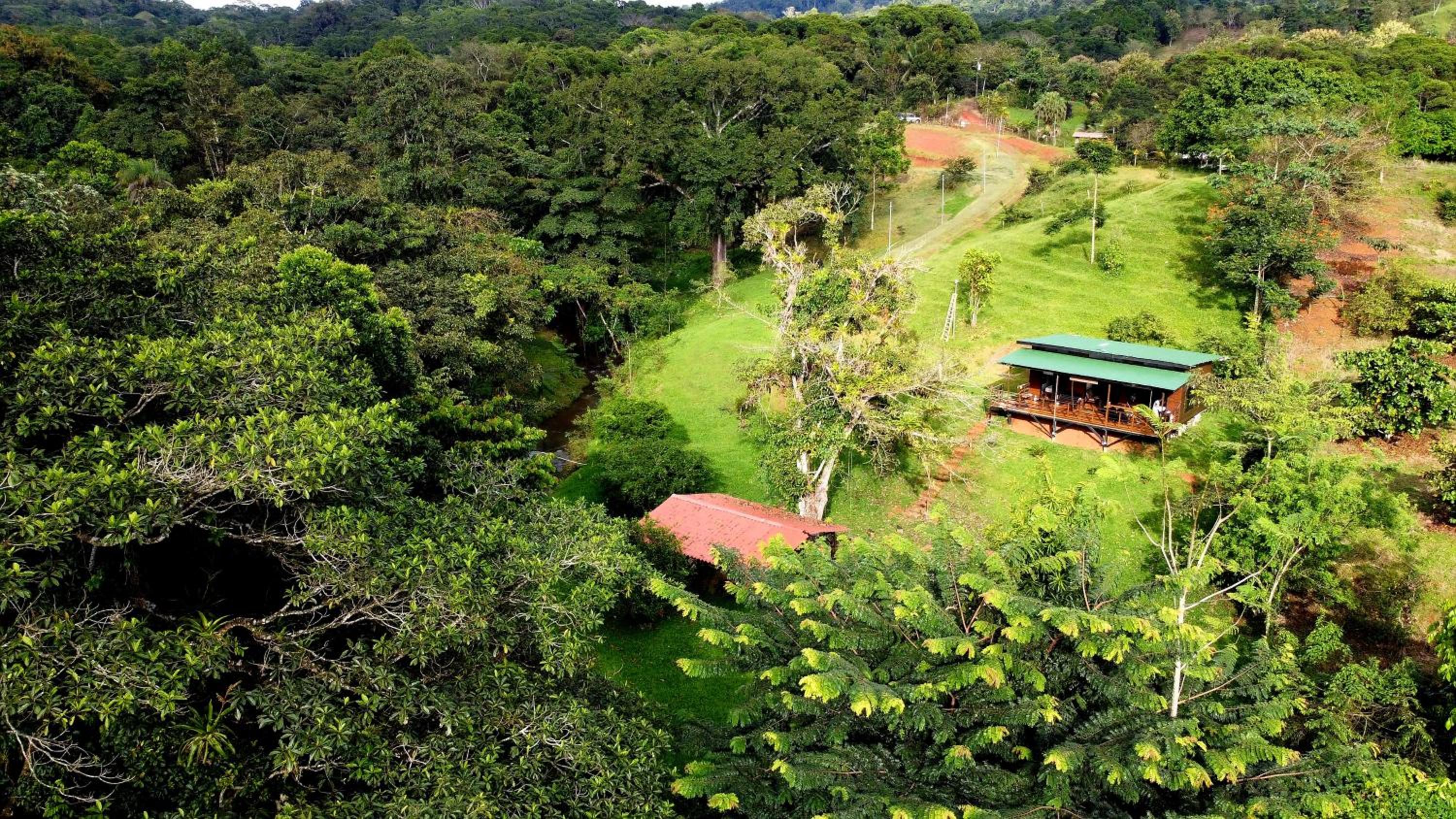 Ceibo Lodge, great birdwatching