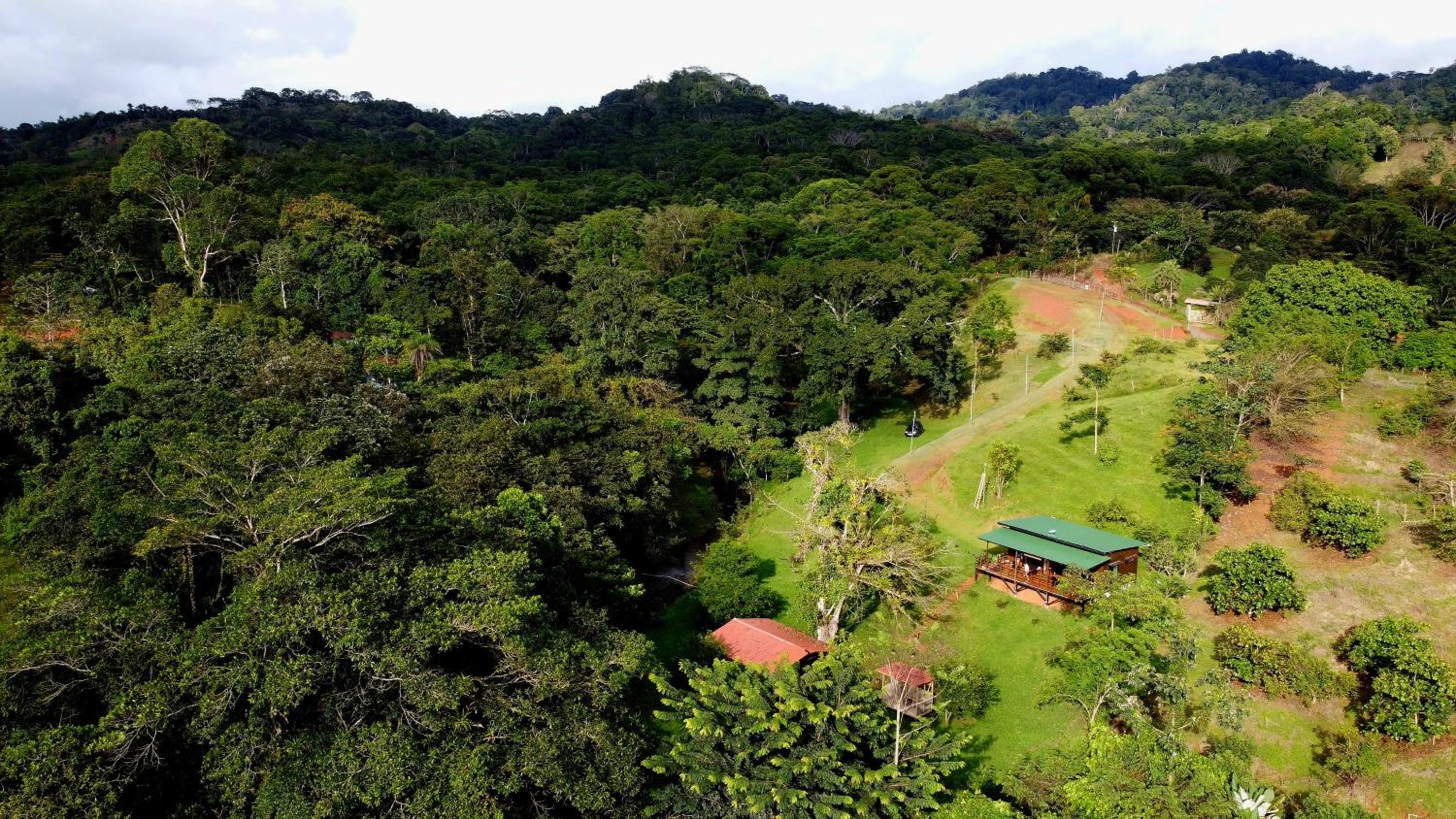 Ceibo Lodge, great birdwatching