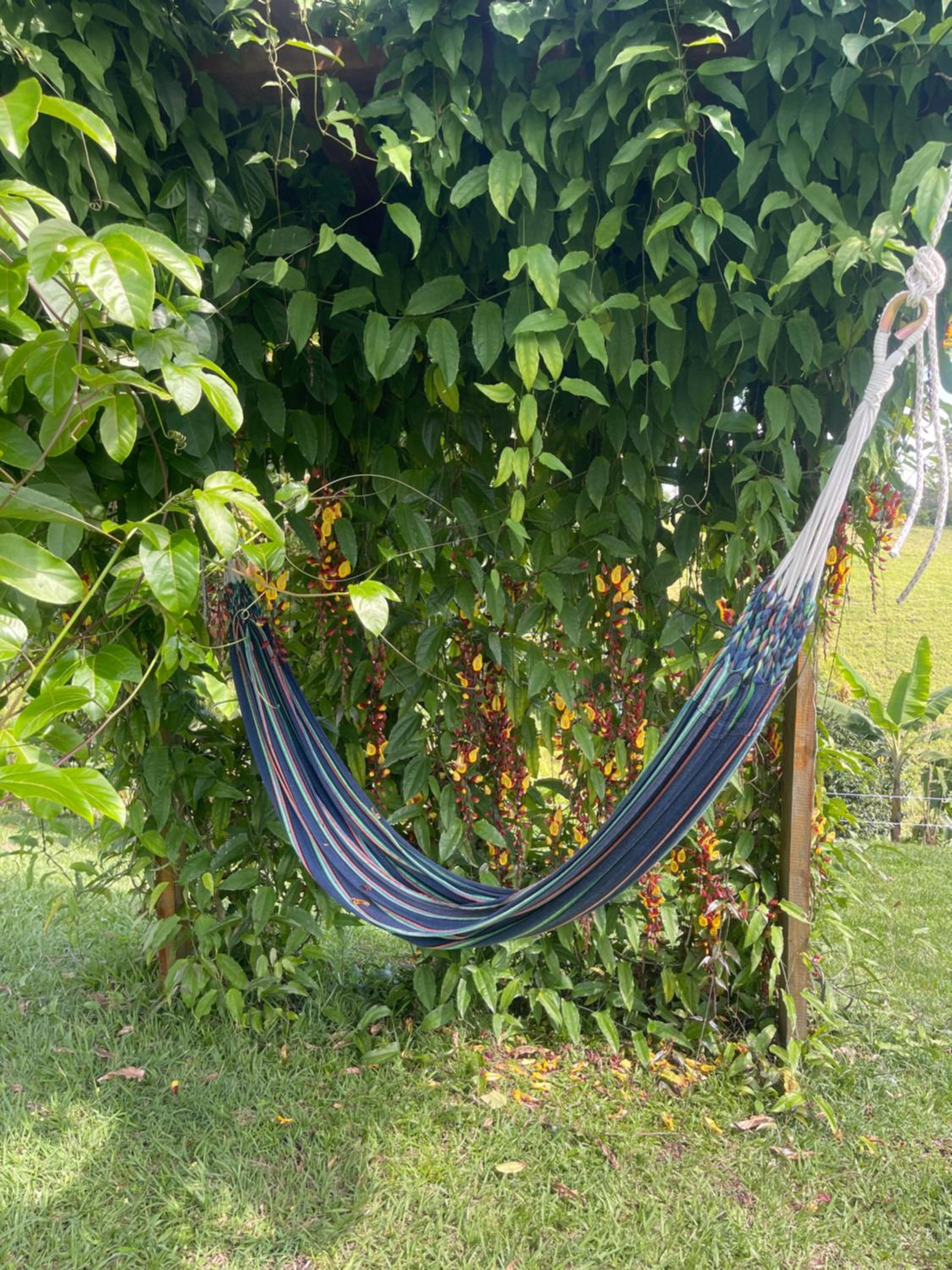 Finca Villa Sophia!