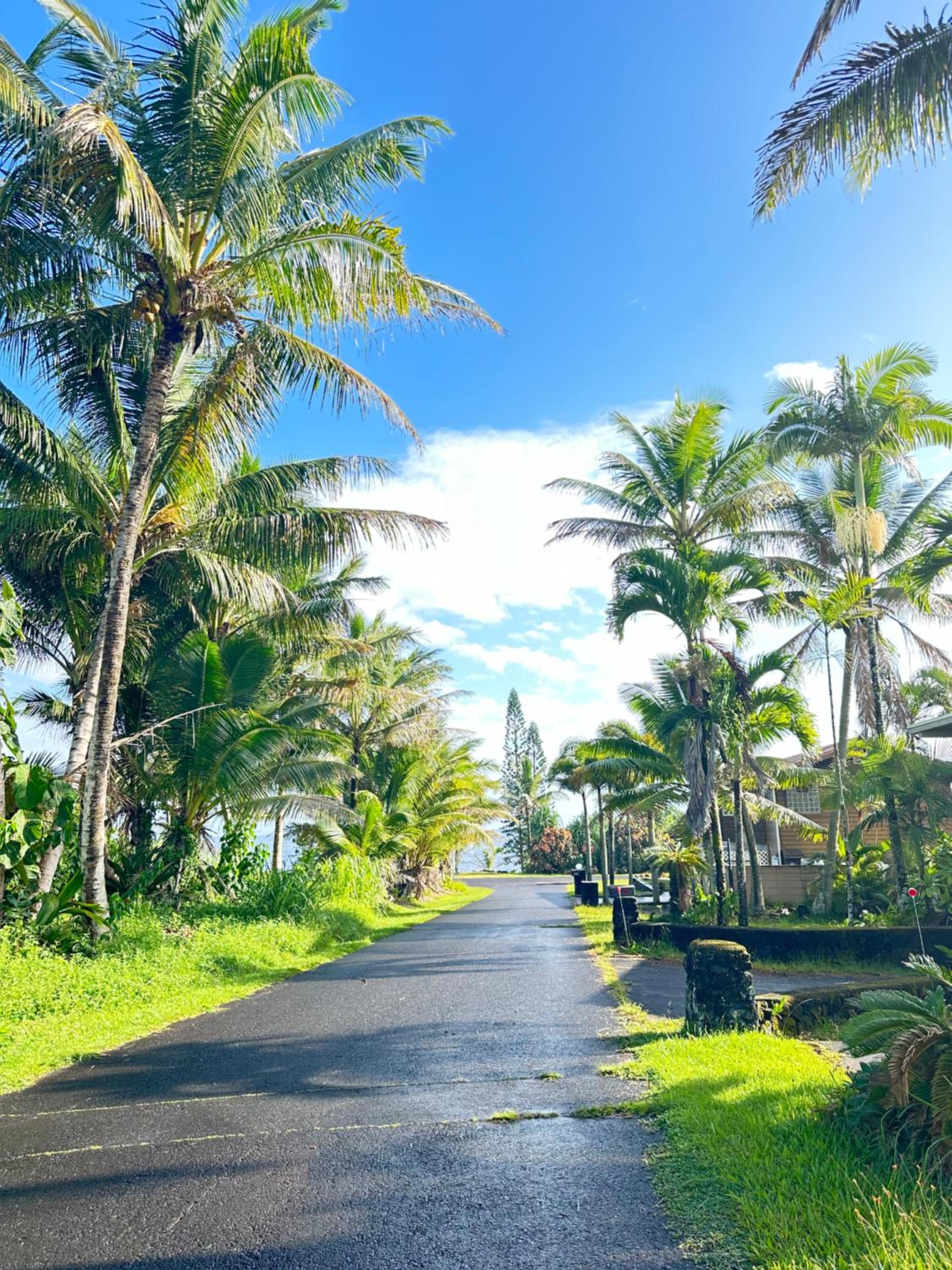 House of Aloha view 2