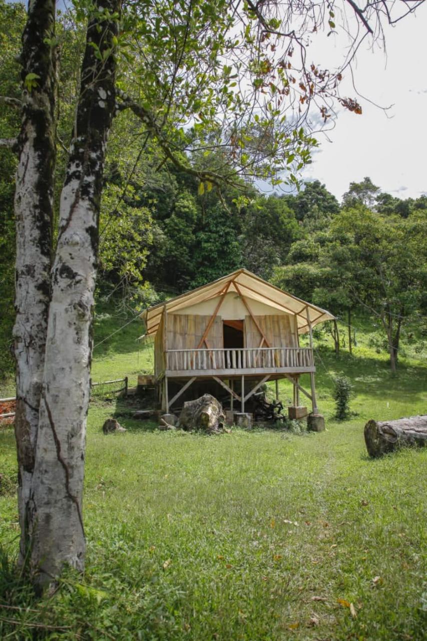 Glamping Teluk Sirih