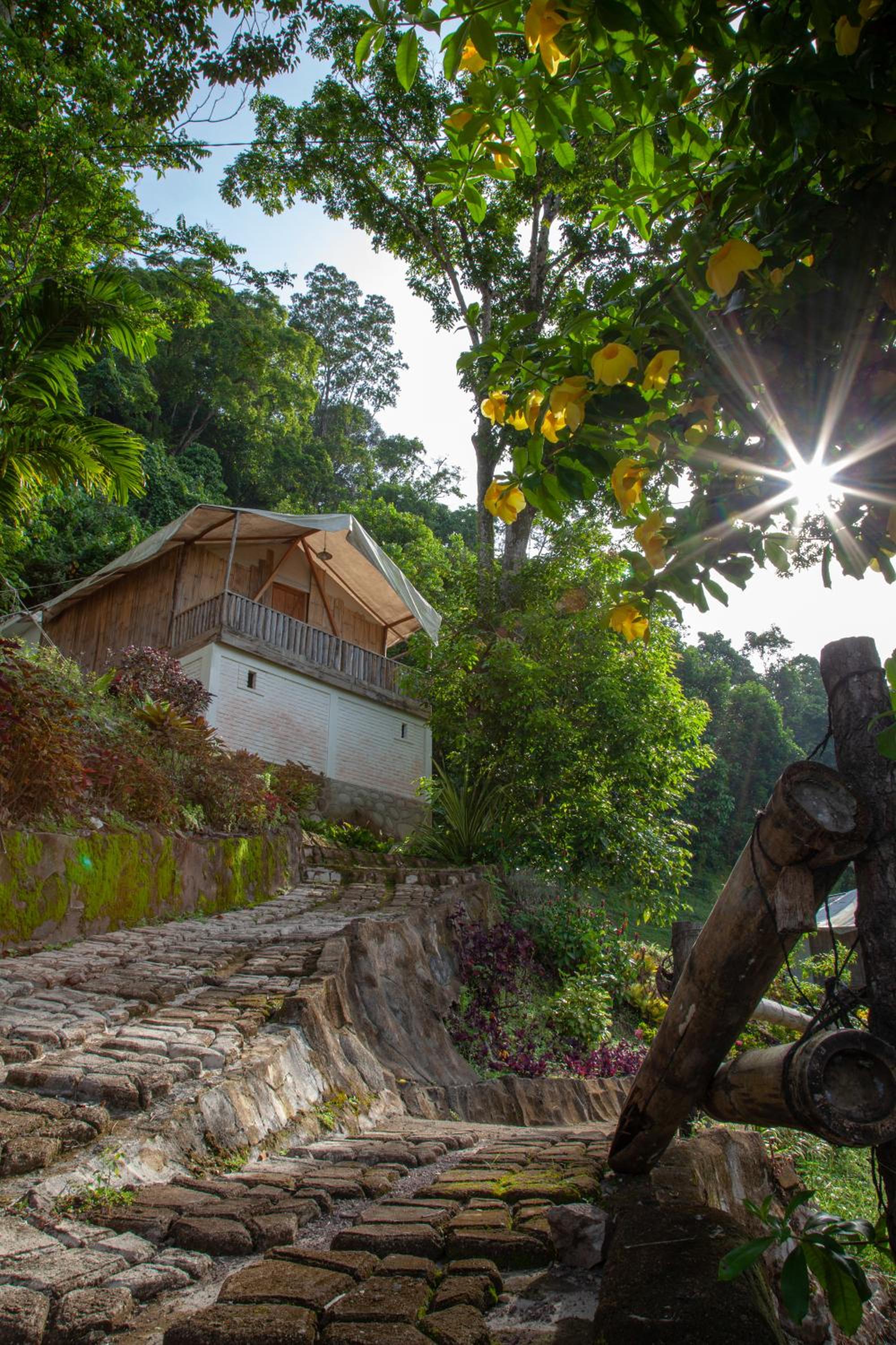 Glamping Teluk Sirih