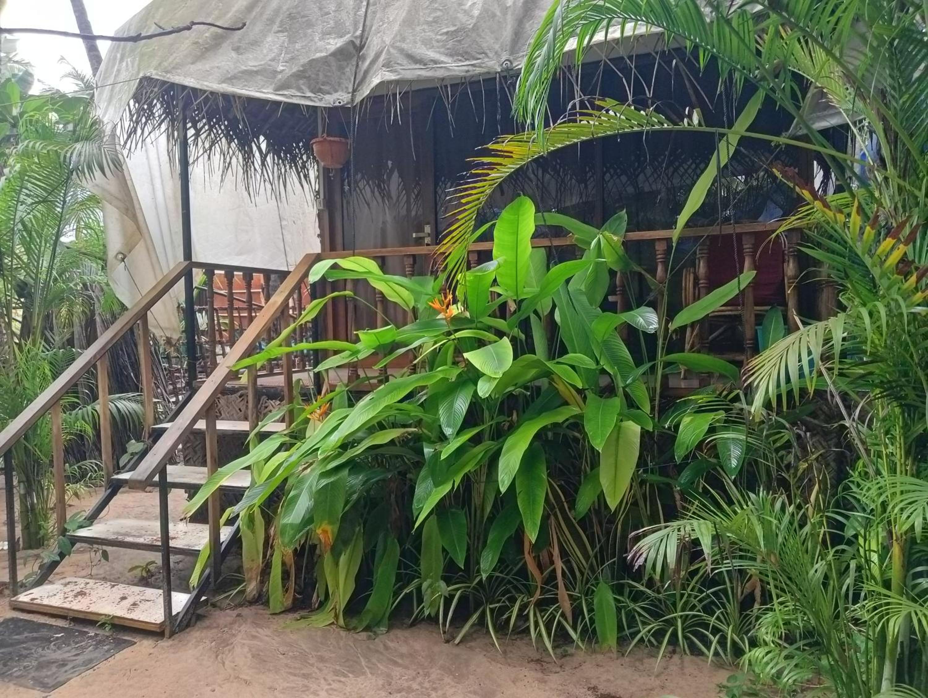 Costantina - Agonda Beach