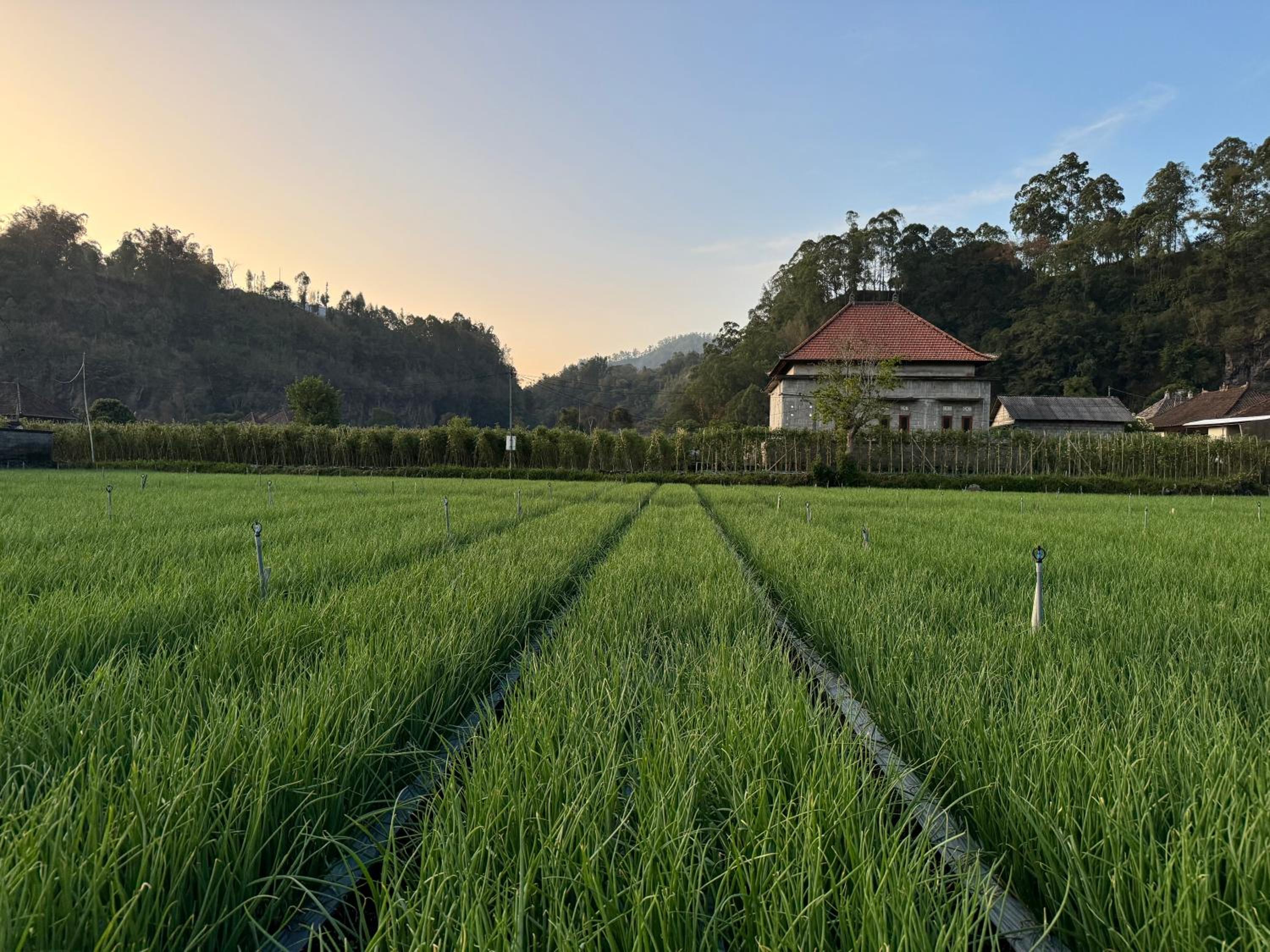 Tamalia House