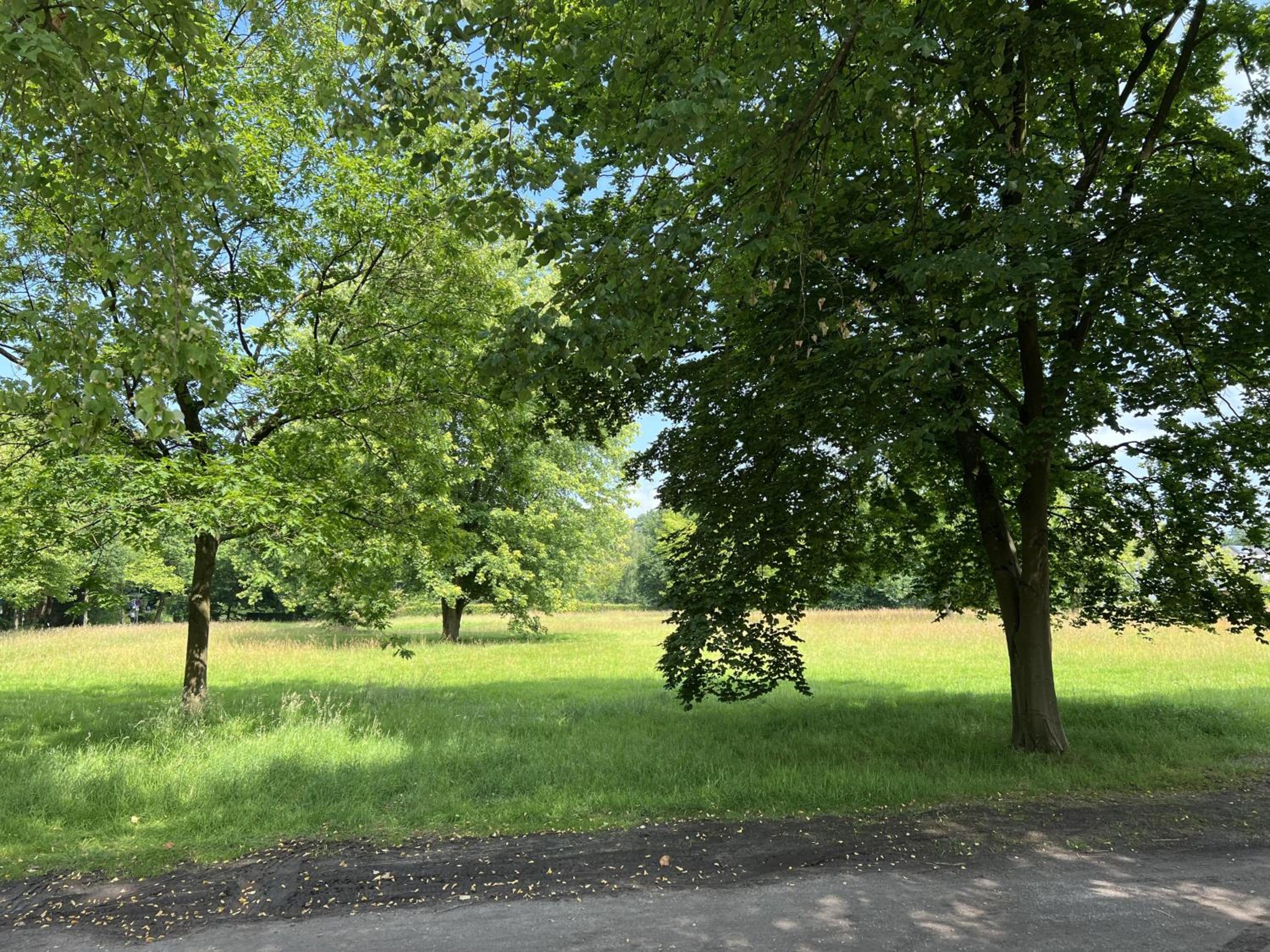Ahrenshof W 10