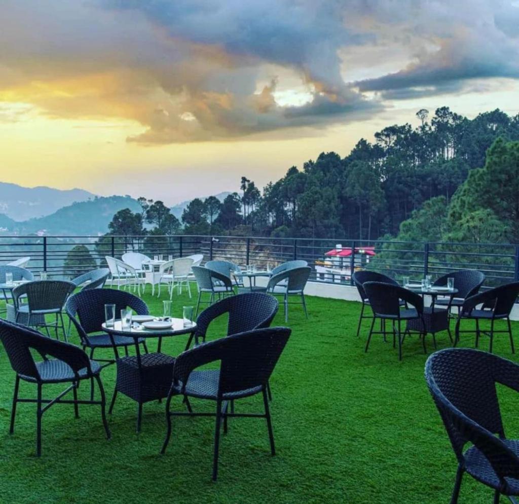 The Wispring Pine Kasauli 7o1827o7o3 view 5