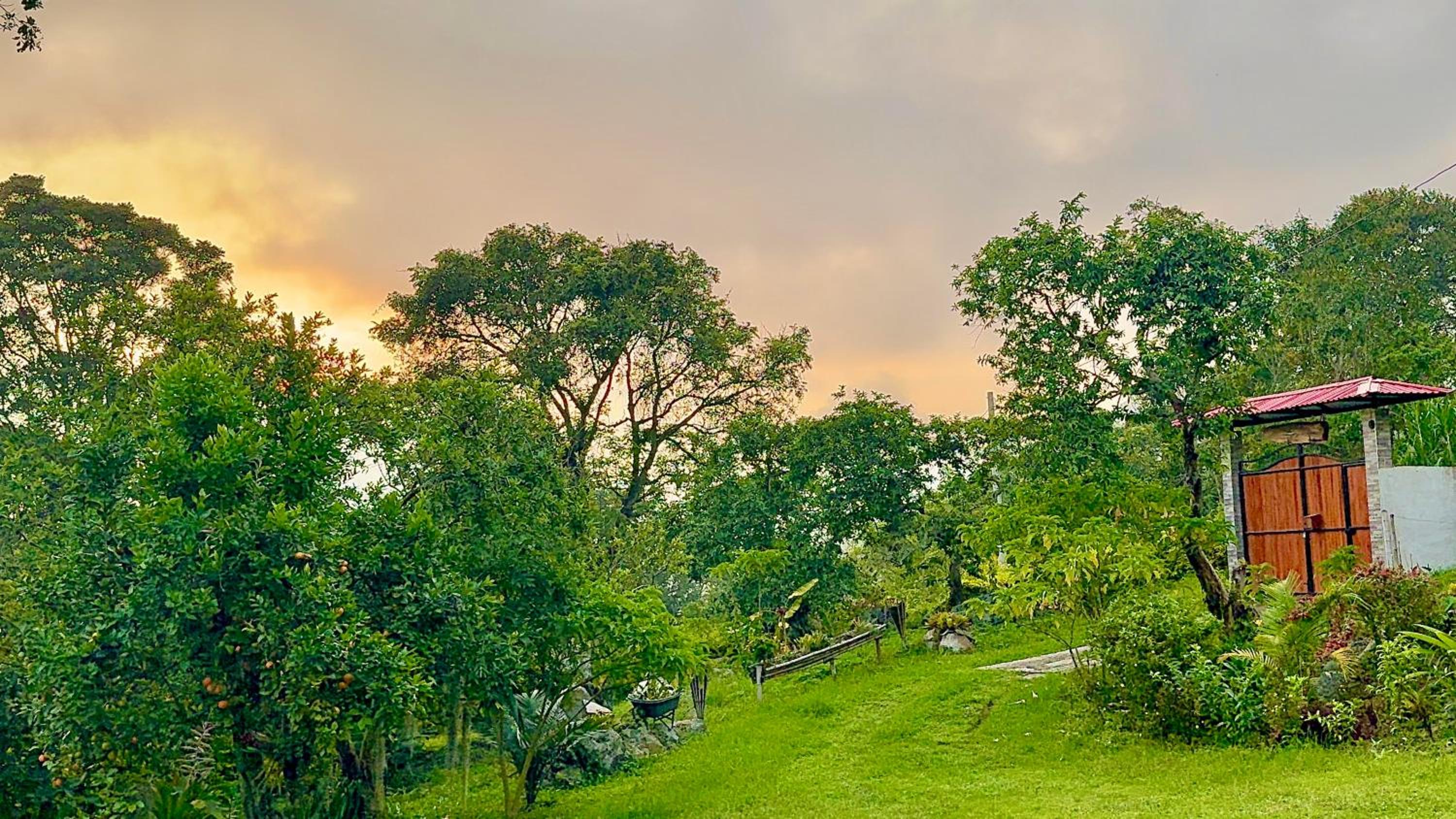 Glamping la cabaña