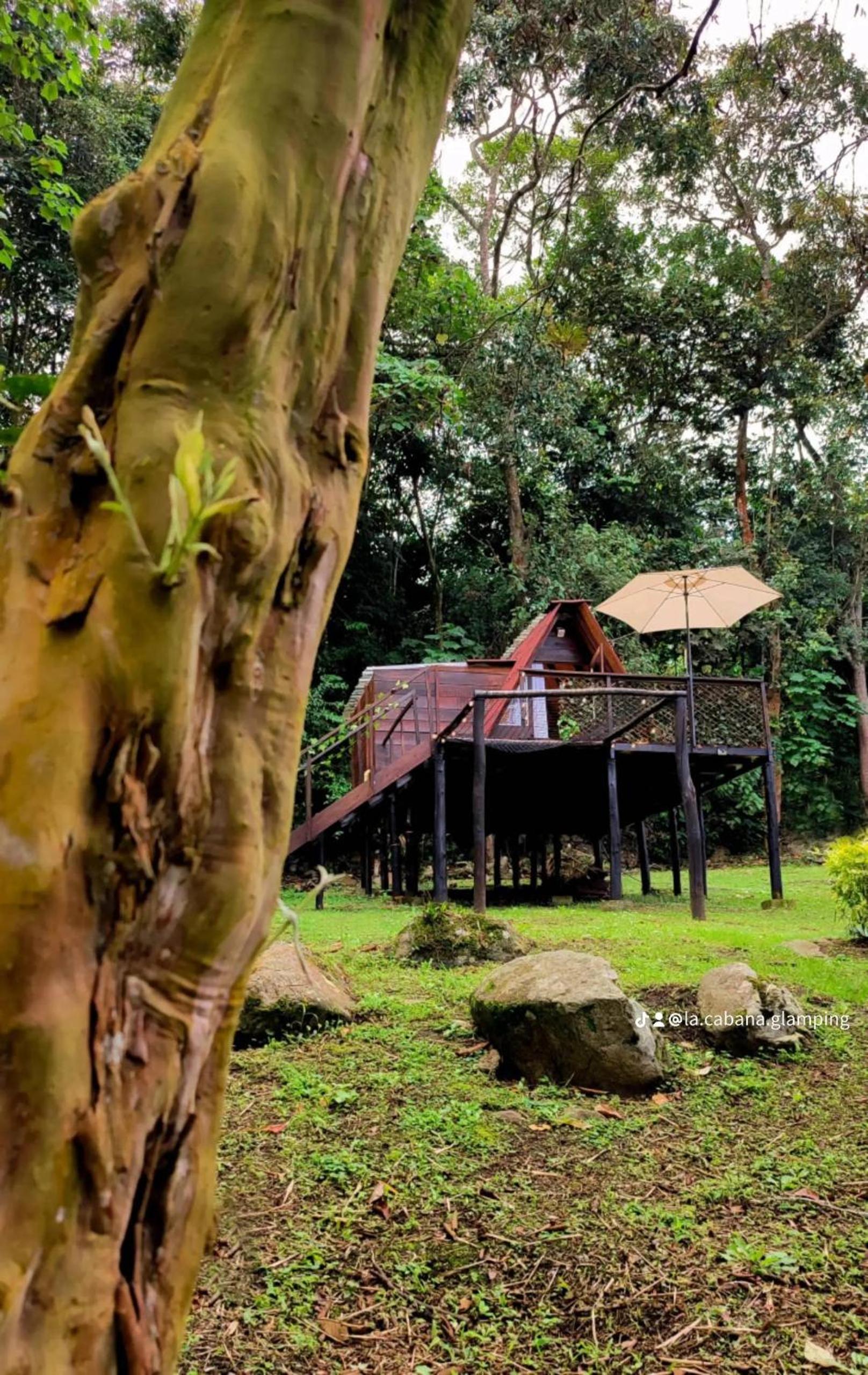 Glamping la cabaña
