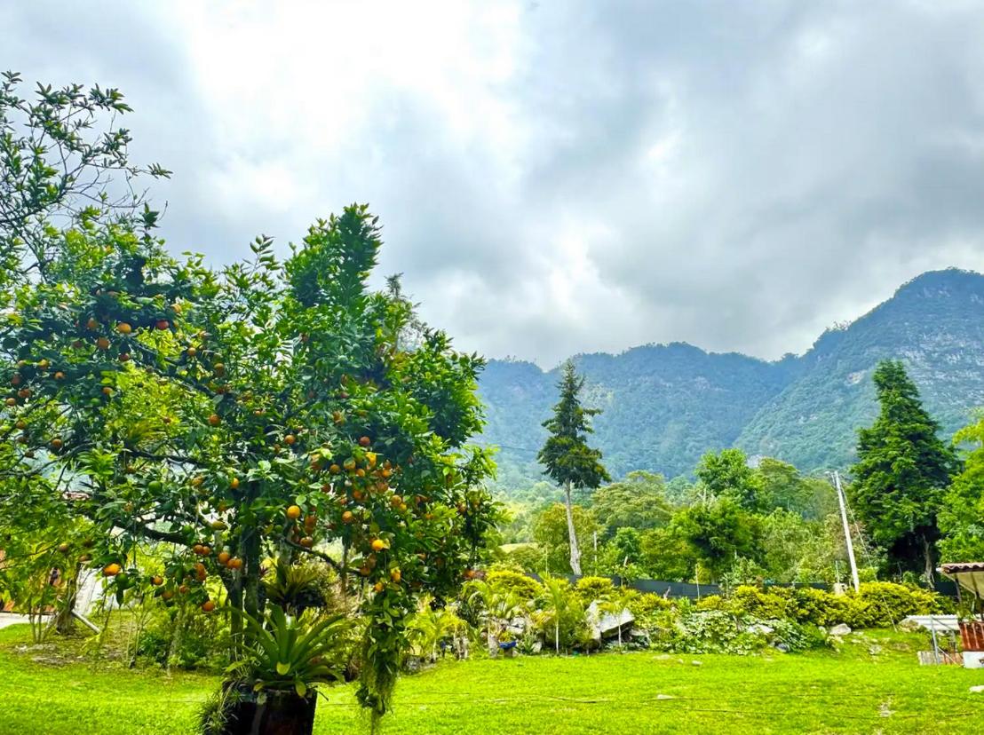 Glamping la cabaña