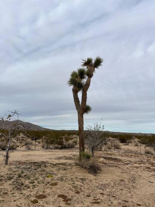 Cozy 2 bedroom desert home AC included view 3