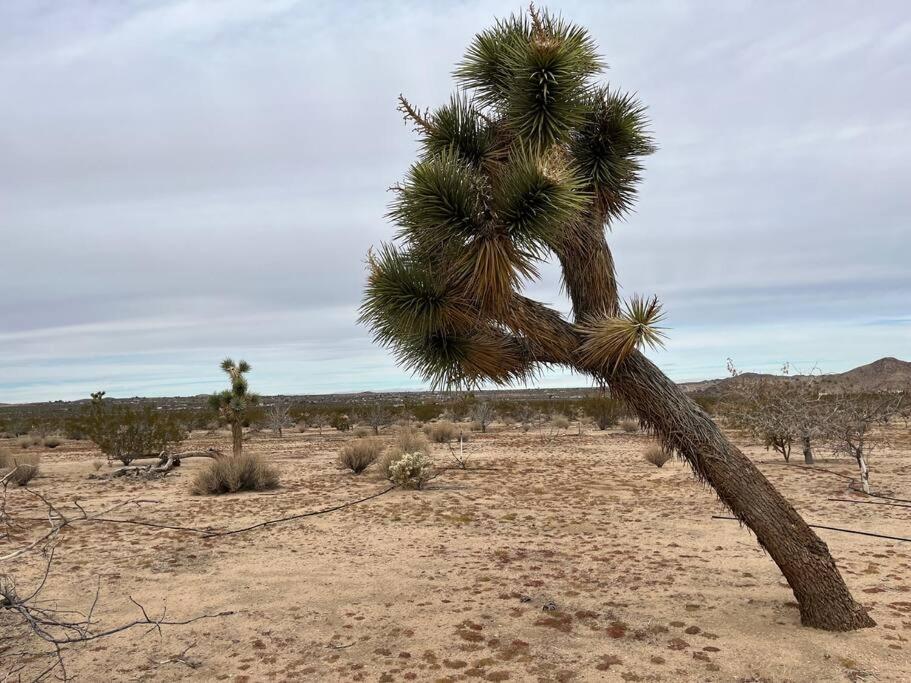 Cozy 2 bedroom desert home AC included view 4