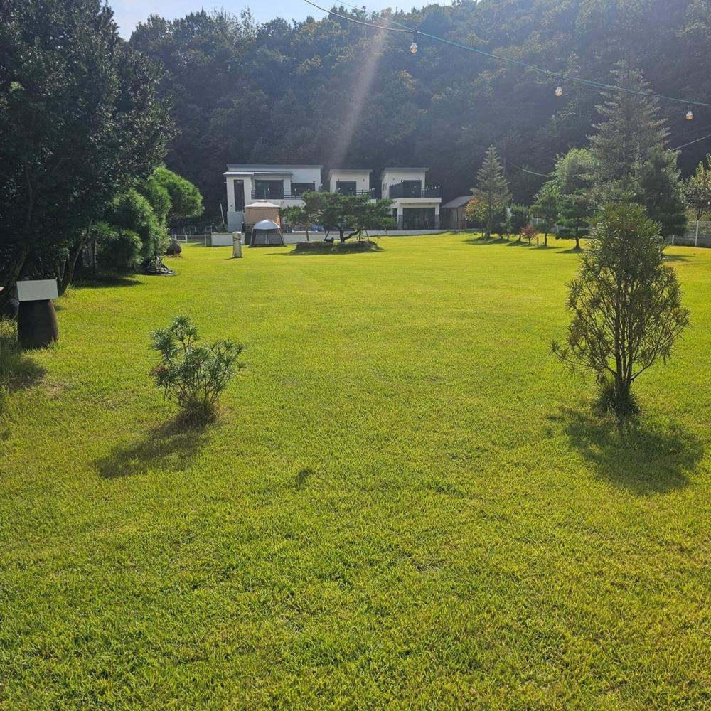 Photo 58