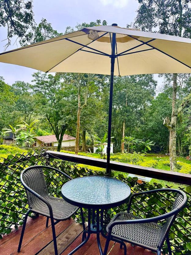 Glamping la cabaña