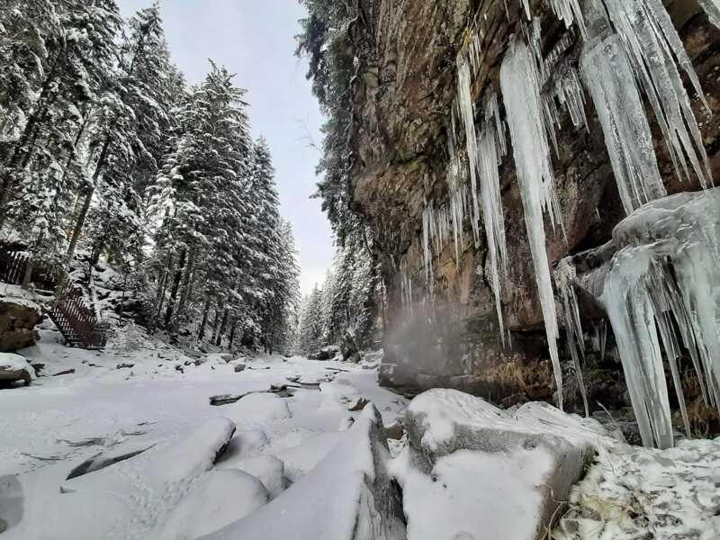 Котедж Кресаня view 4