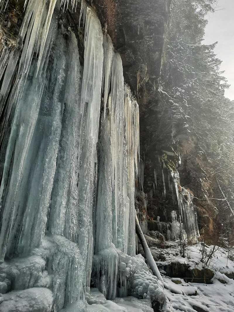 Котедж Кресаня view 2