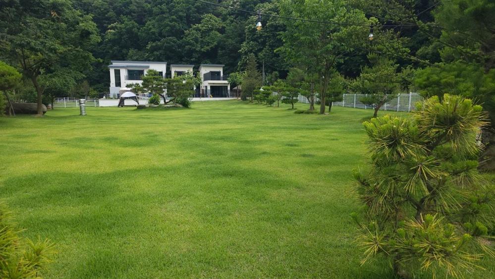 Wonju Gwirae 630 Dog Pool Villa view 3