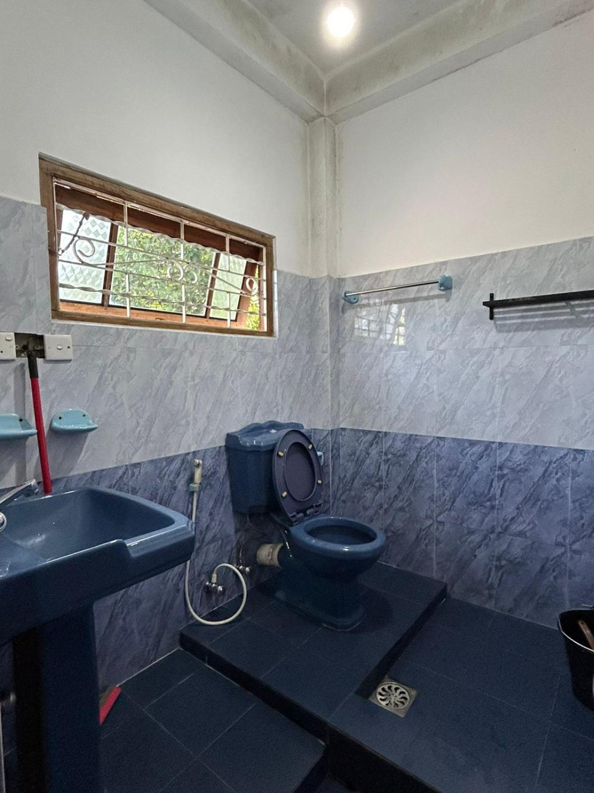 Shane HomeStay