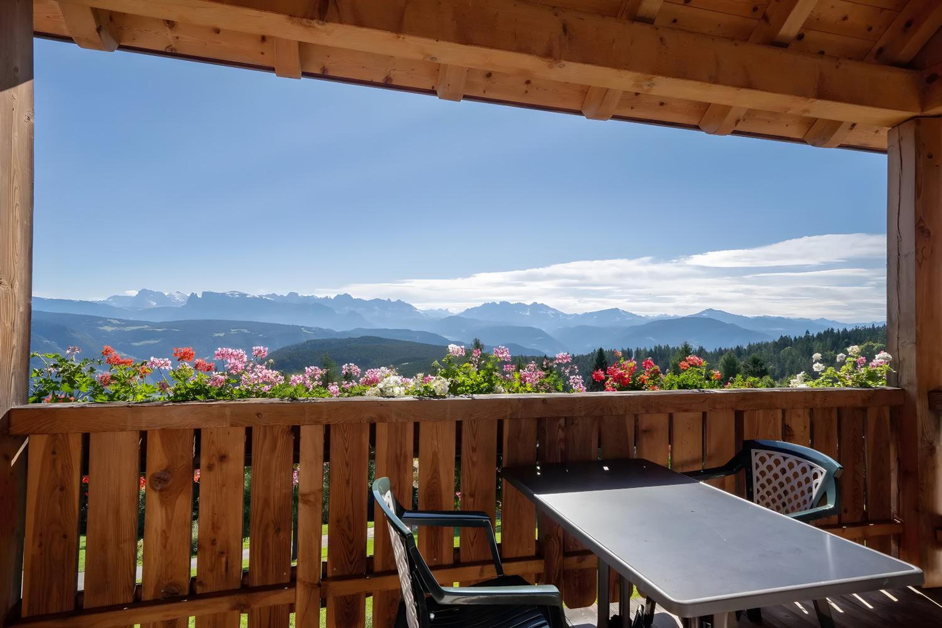 Stücklhof Wohnung Edelweiss view 2