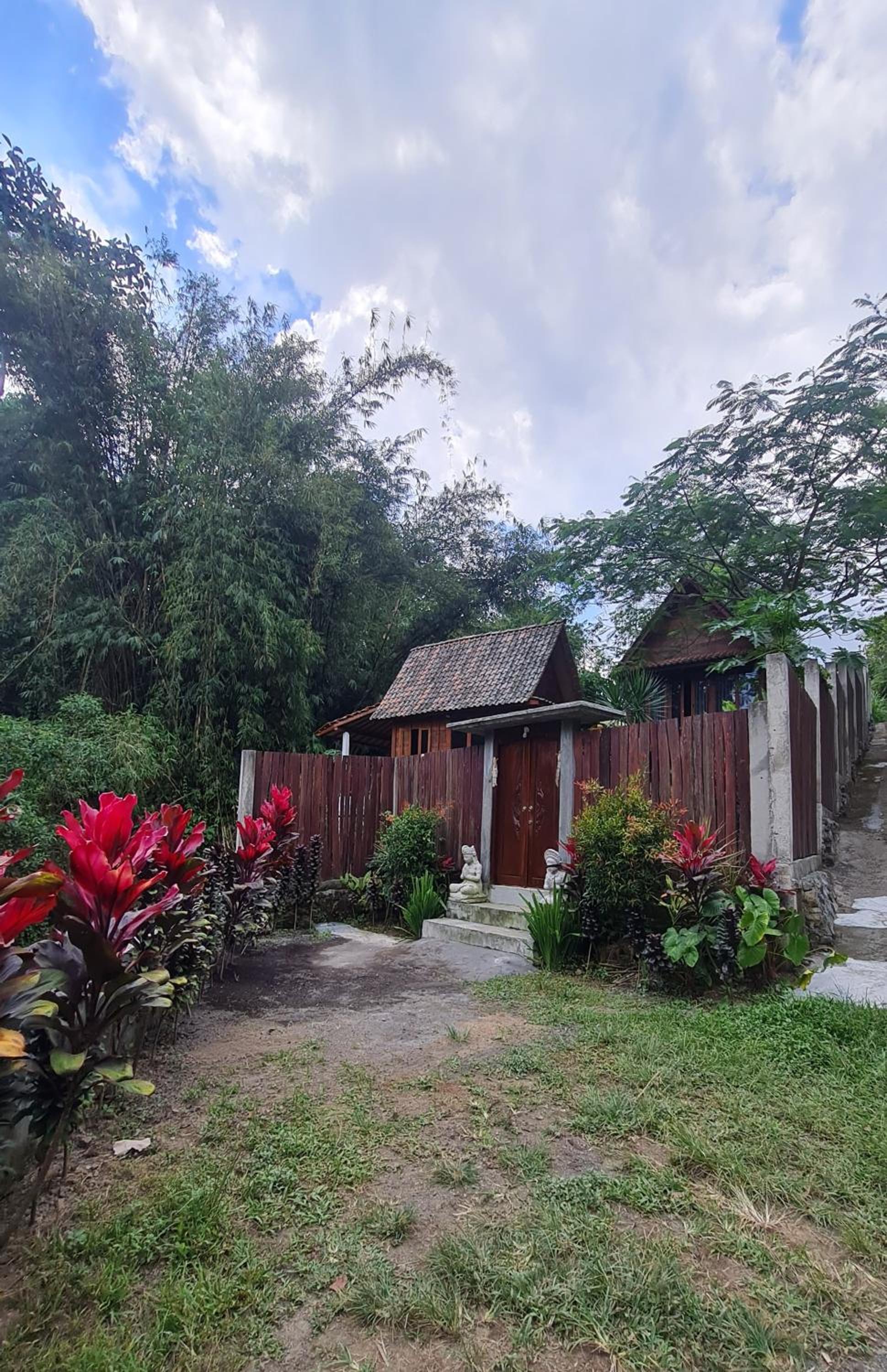 Photo 47