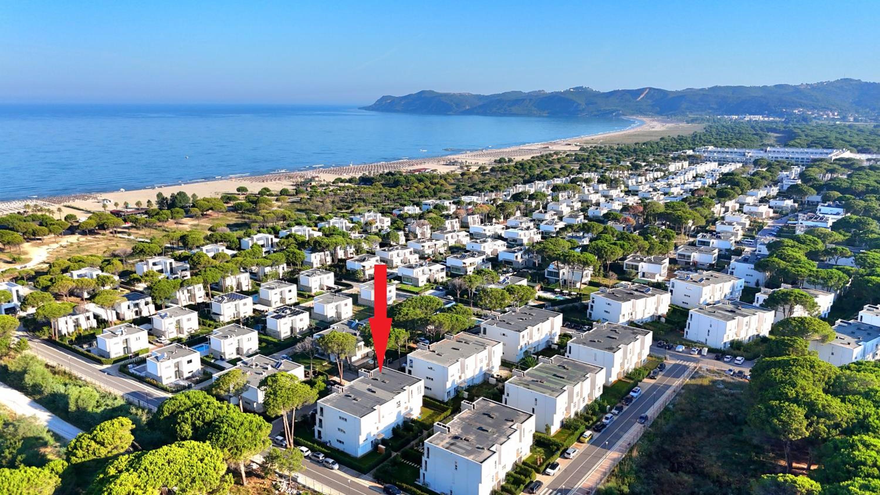 Sunny Beach Apartments - 295