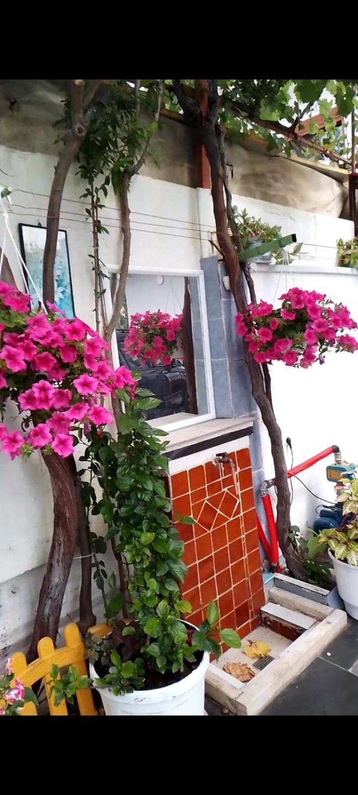 Rent Rooms Villa AG&AF