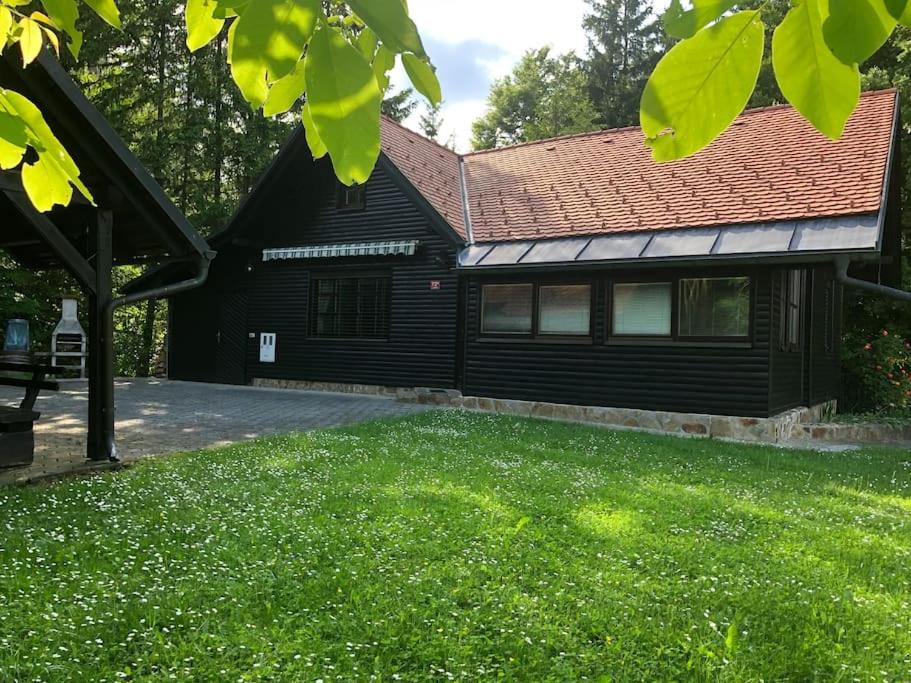 Chalet Neva view 3