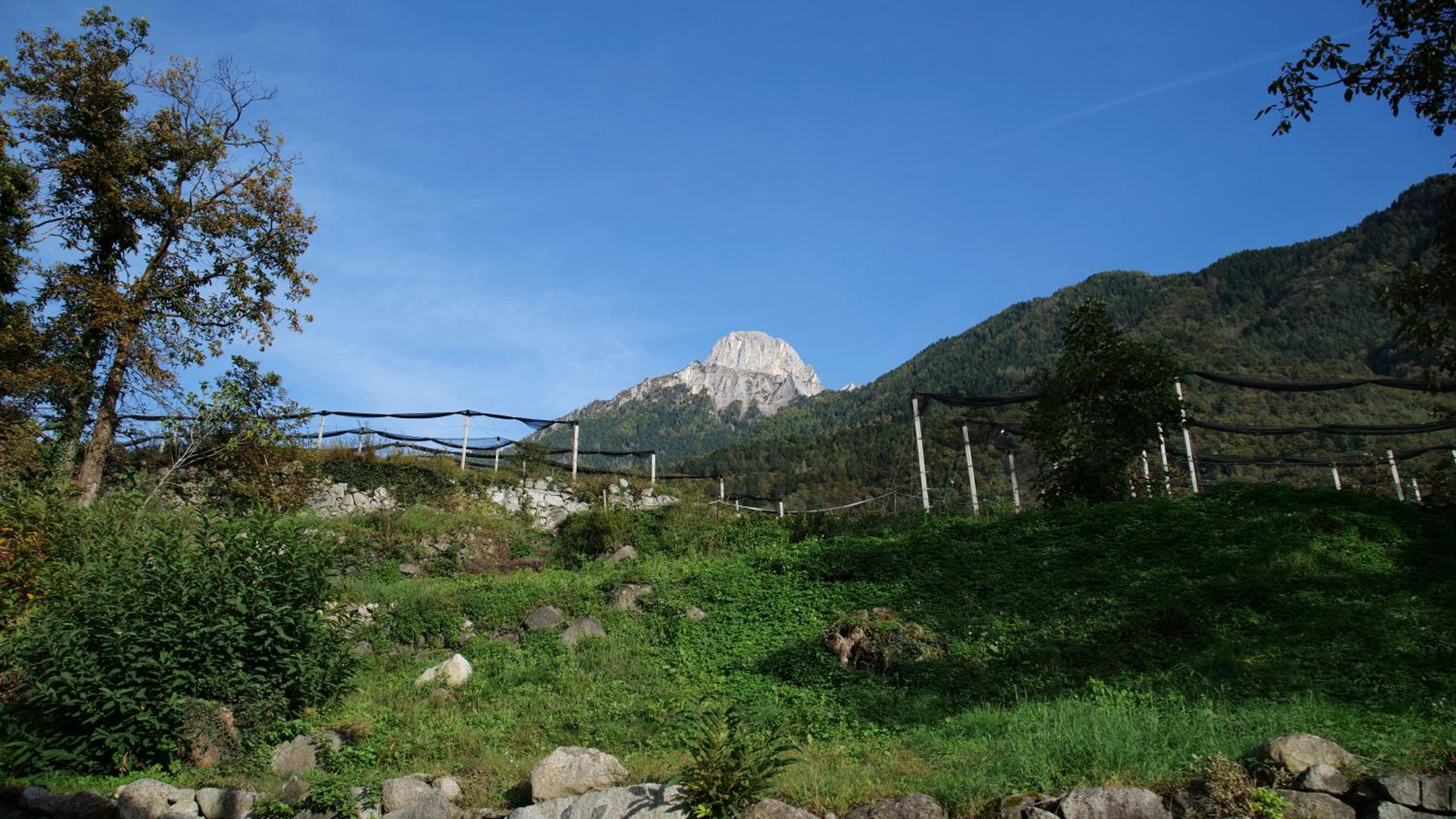 Appartamento Concarena