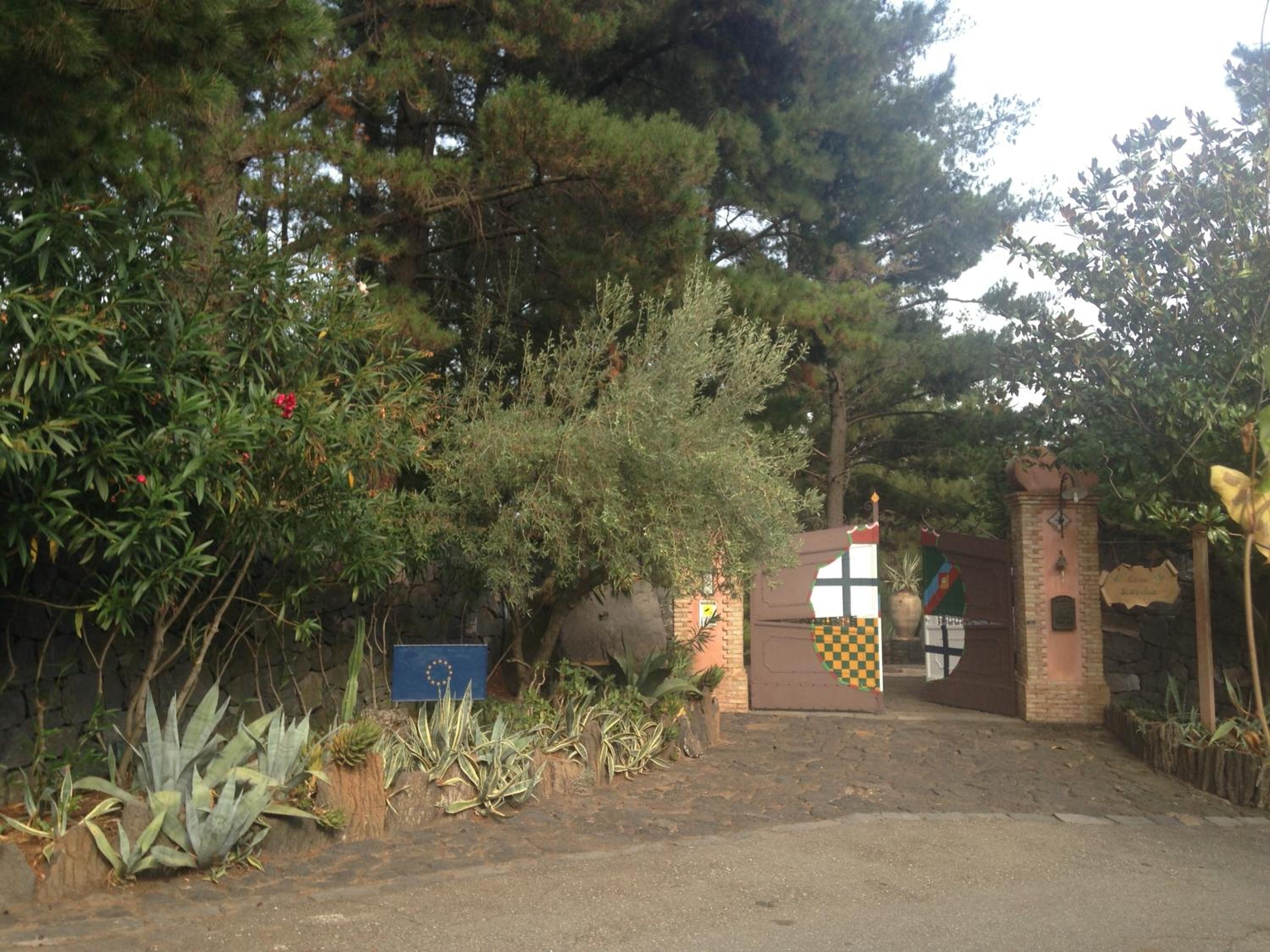 Photo 26