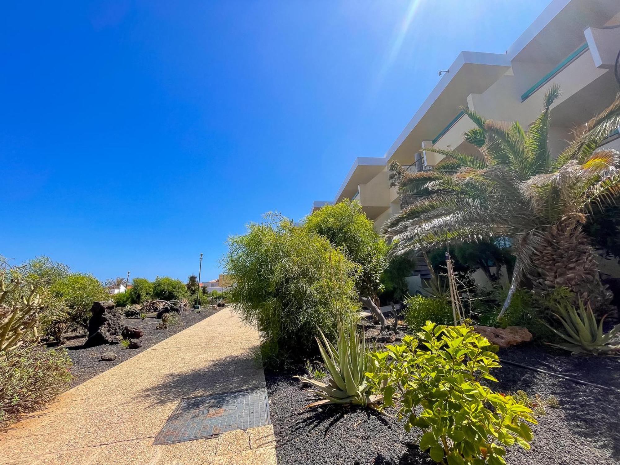 Casita Naranja - Bouganville