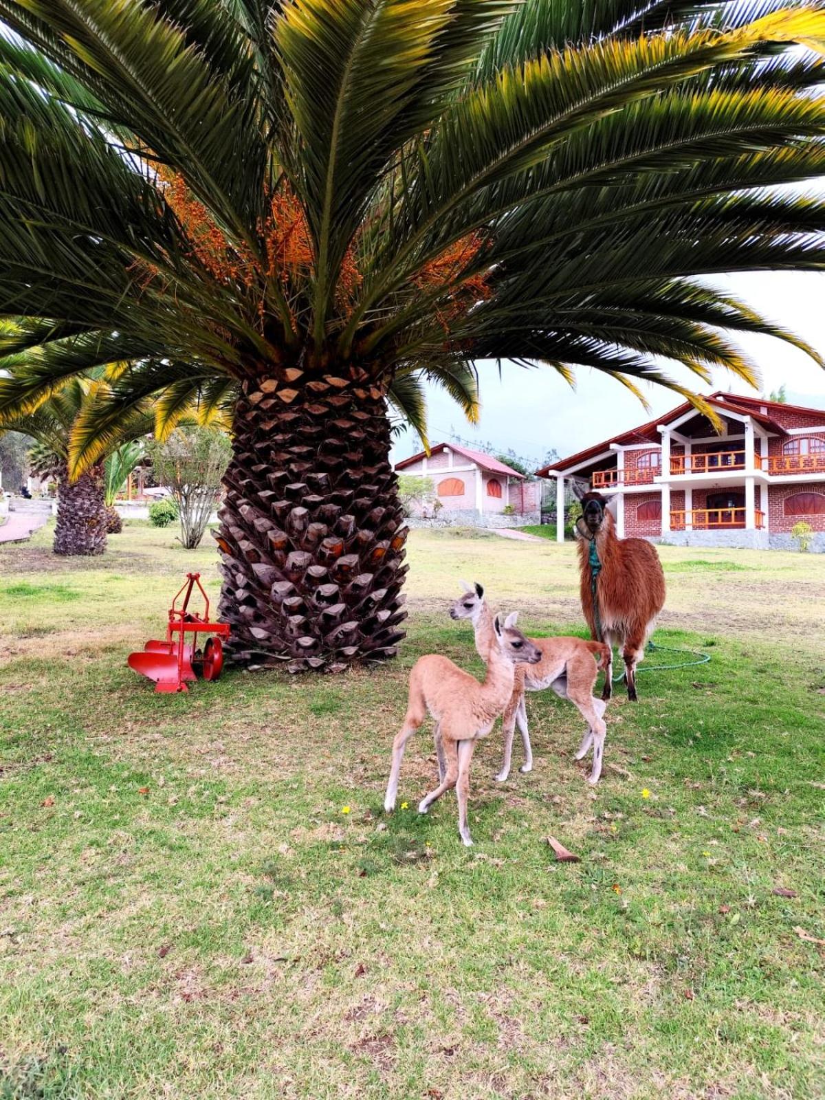 Quinta Sierra de Fuego