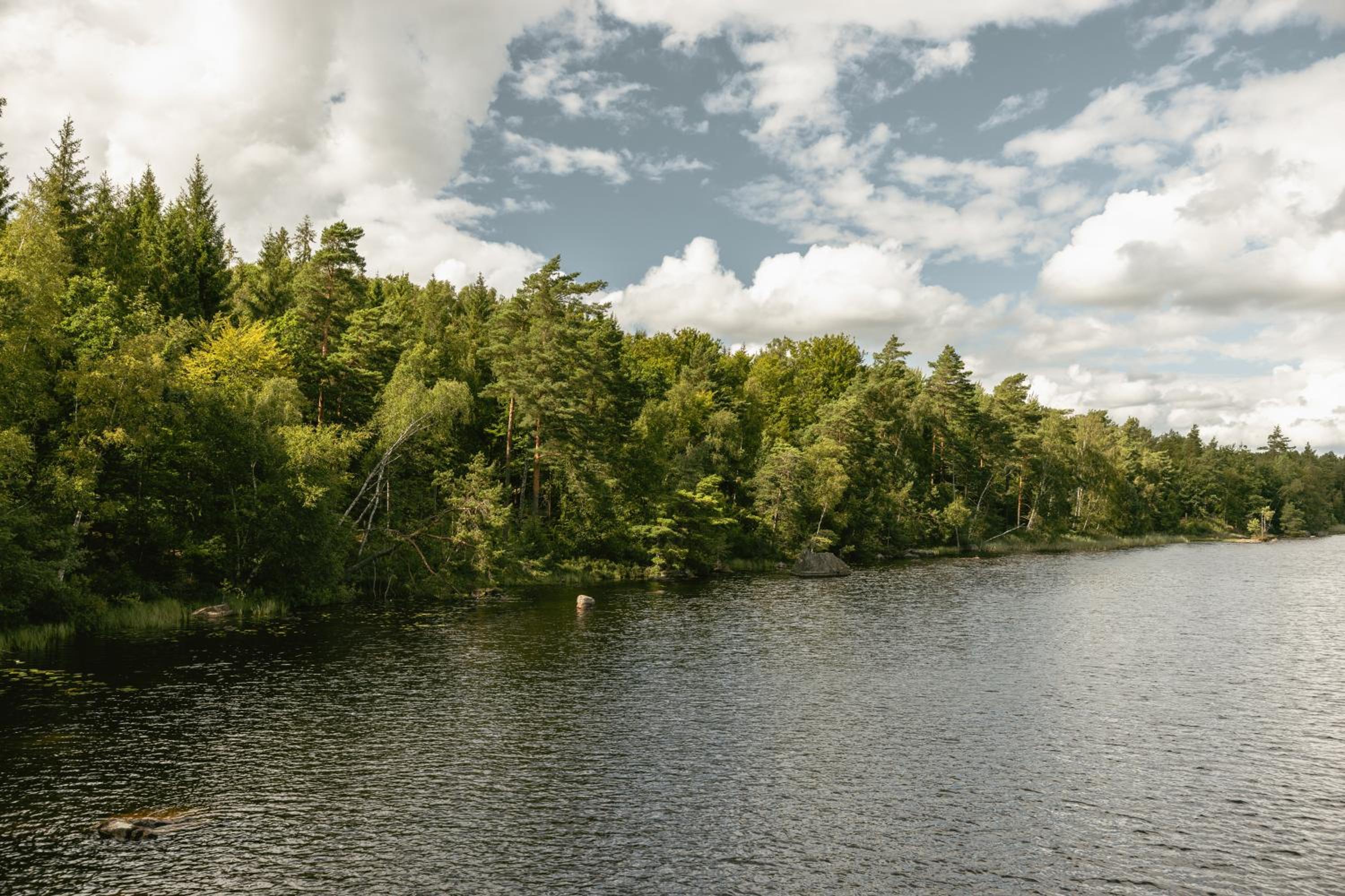 Halens Camping och Stugby, photo 41