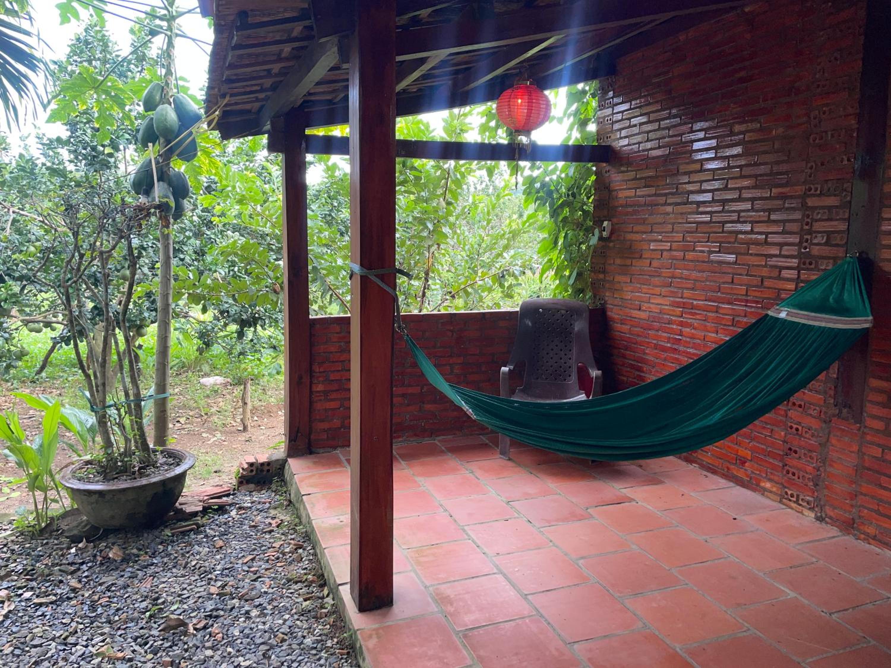 Forest Side Ecolodge view 3