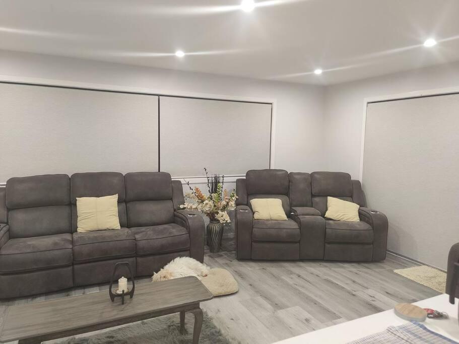 Newly built cheerful 3D Bedhouse, Tawa, Wellington view 4