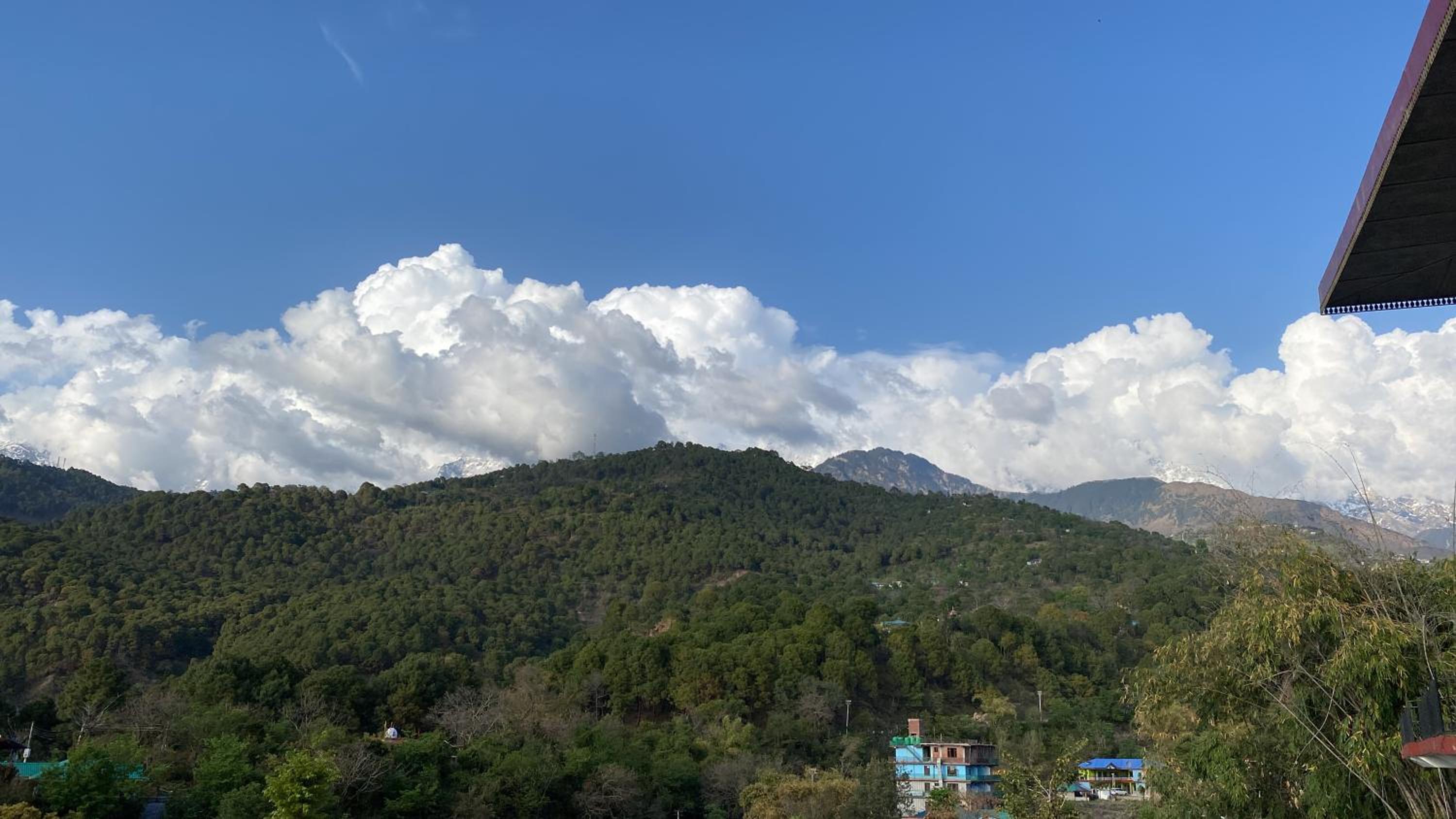 Sarjeevan Guest House
