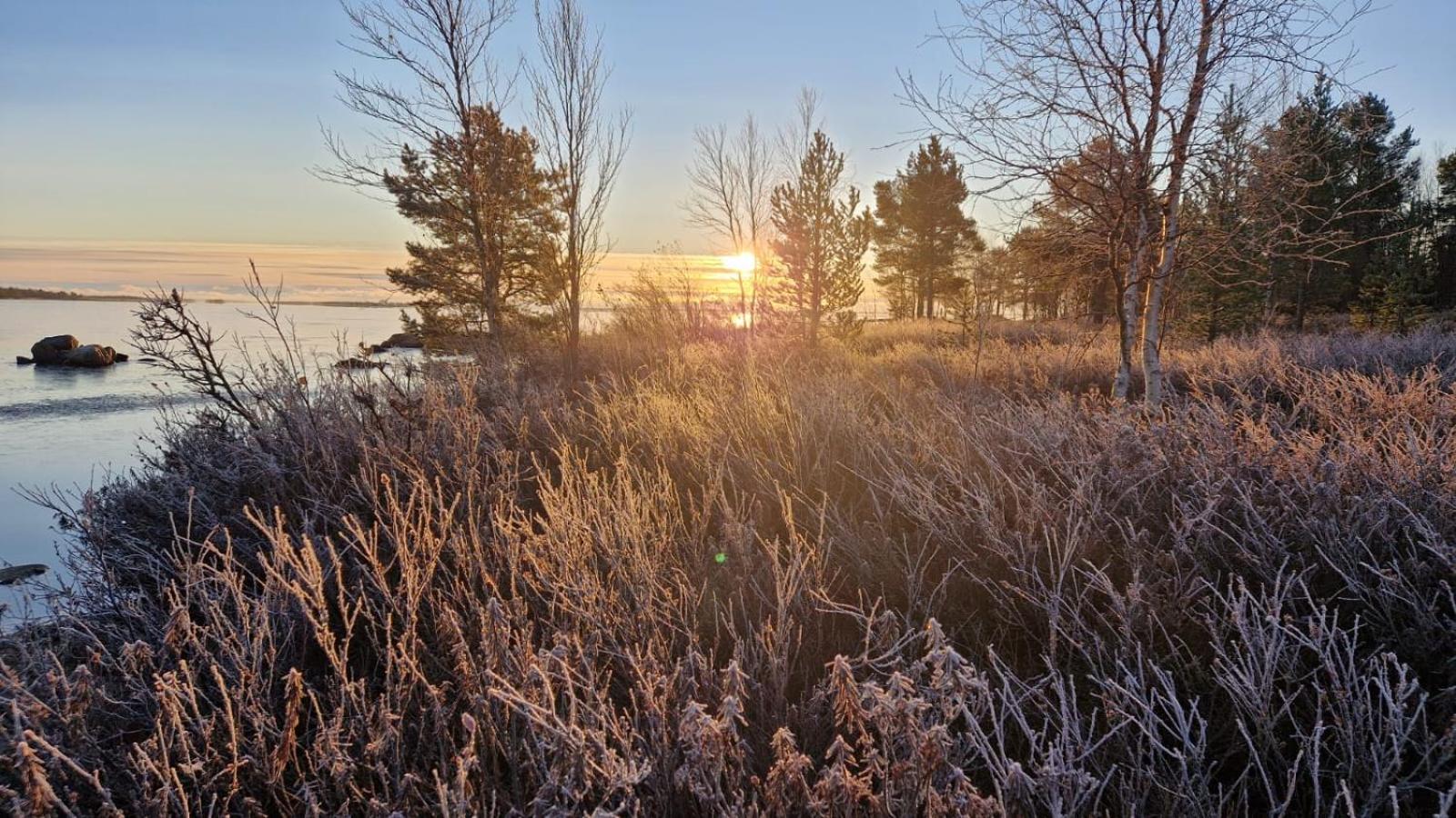 Hillavilla in the shore of lake Inari