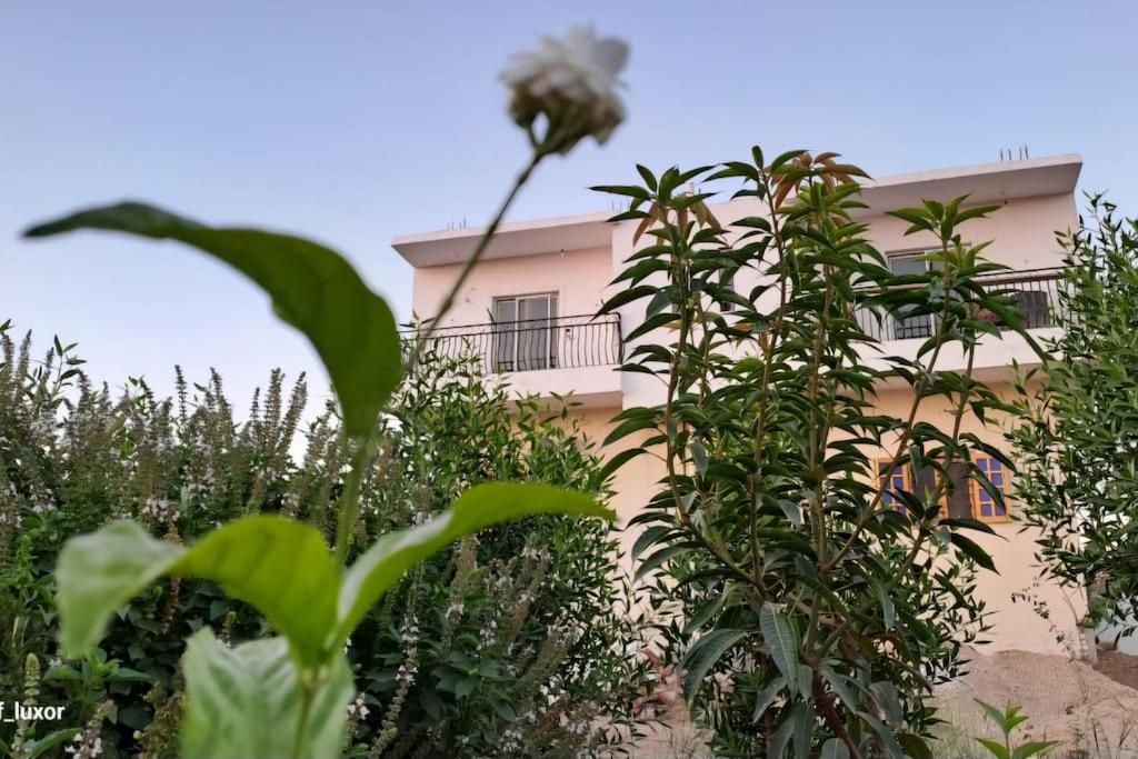 Al Hayat house