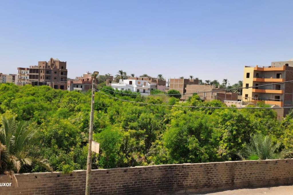 Al Hayat house