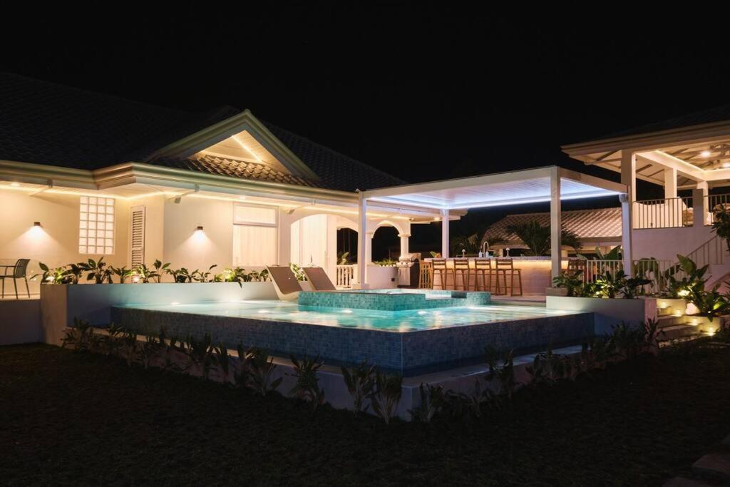 Alesea Tammocalao La Union Beachfront Villa - Jacuzzi, Two Pools view 3