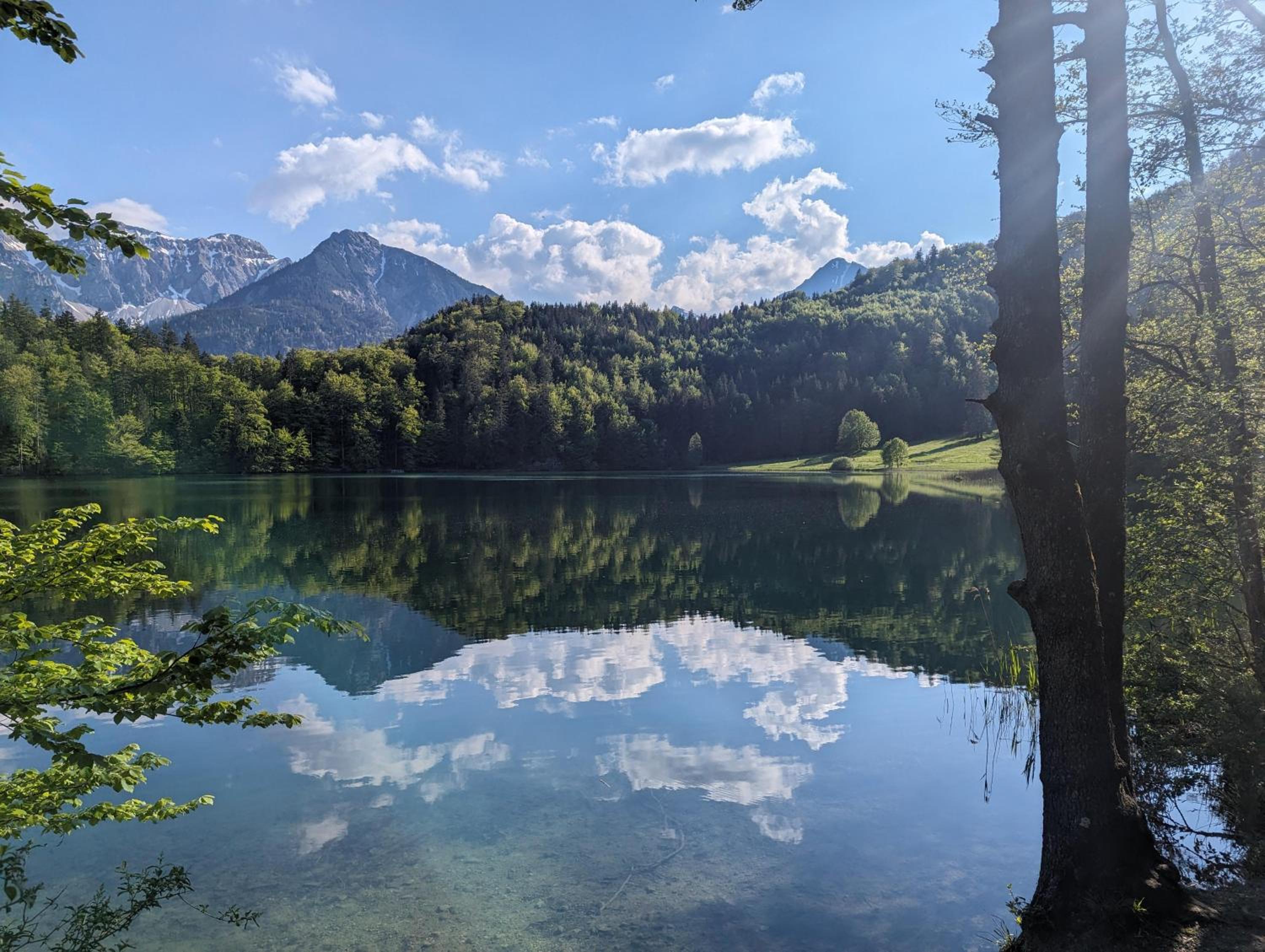 Bergluftsuite am Breitenberg