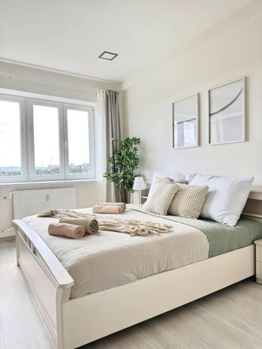Spacious APT near Prague Castle