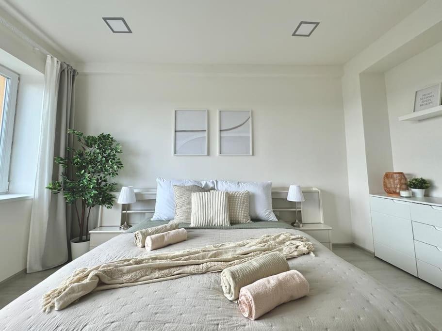 Spacious APT near Prague Castle