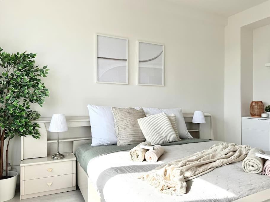 Spacious APT near Prague Castle