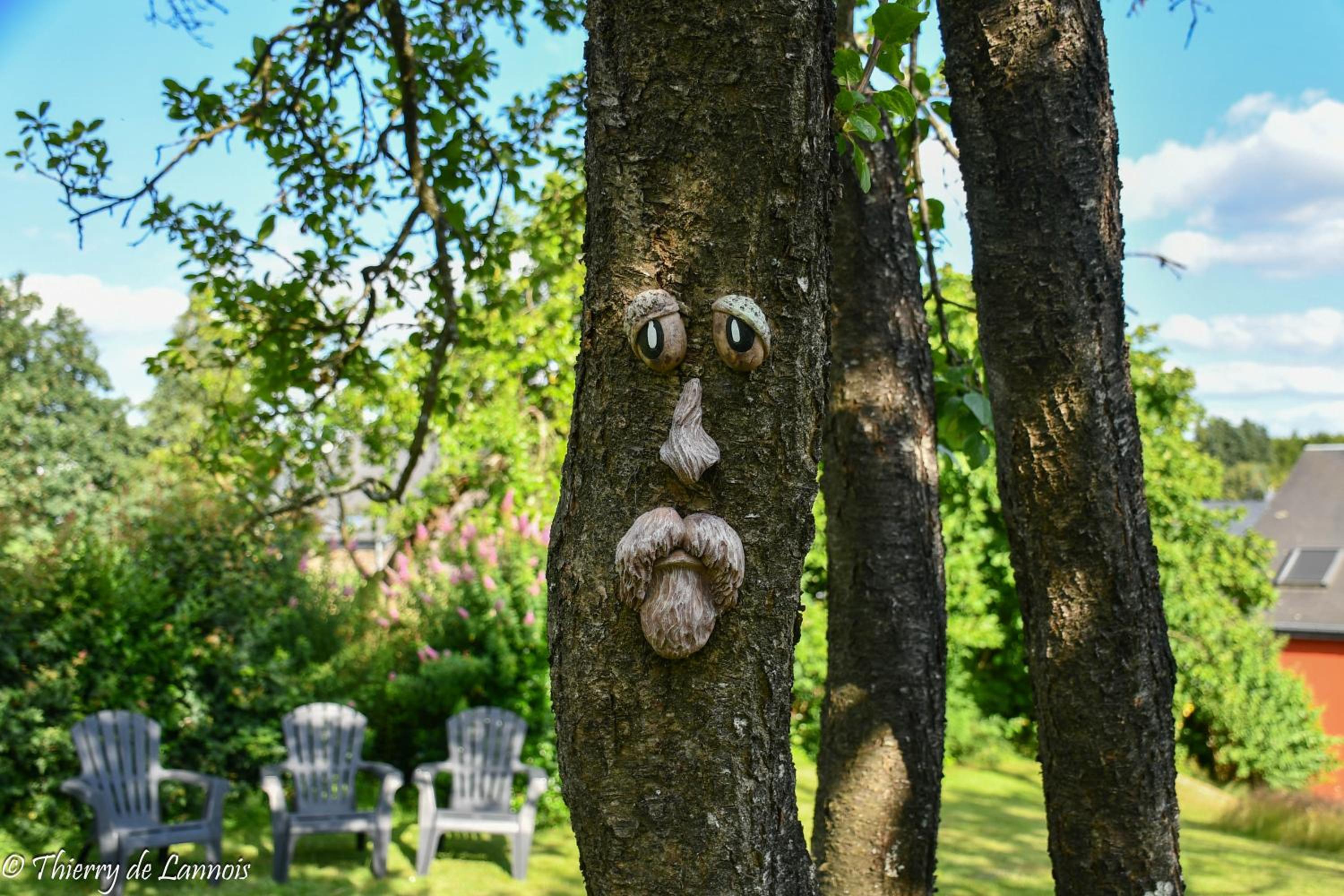 Gîte tout confort au cœur du Parc national de la vallée de la Semois