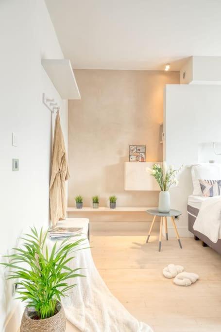 Light-Filled Haven in Ghent