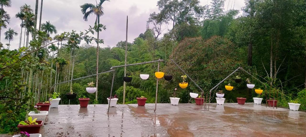 Wayanad Mithram Home Stay view 2