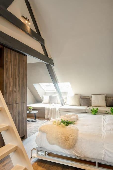 Charming Attic Retreat in Historic Ghent Center