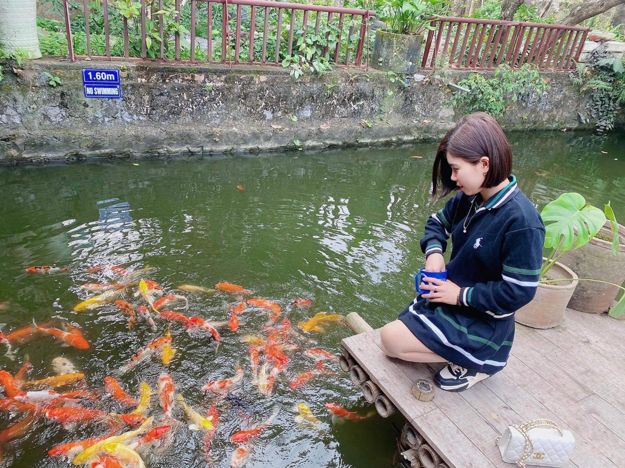 Morning Calm Garden villa - Ninh binh view 3