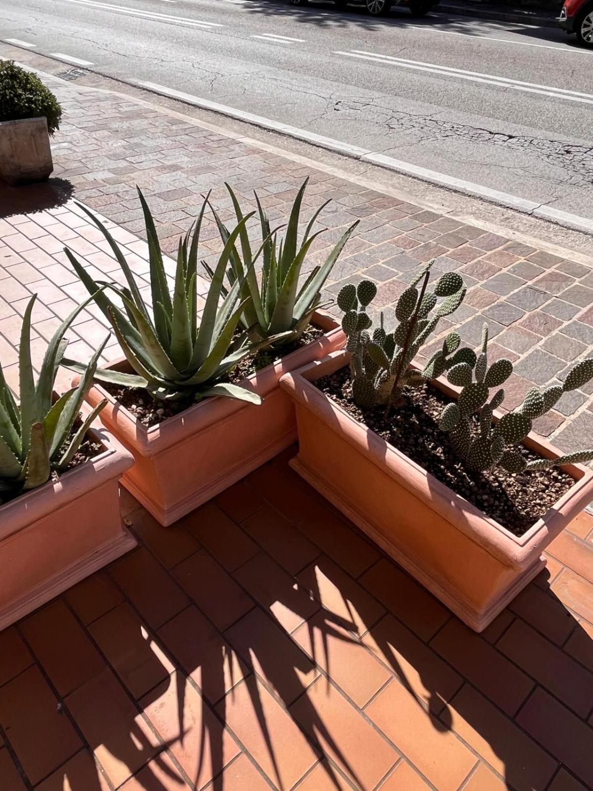 Casa Liberty Maria view 3