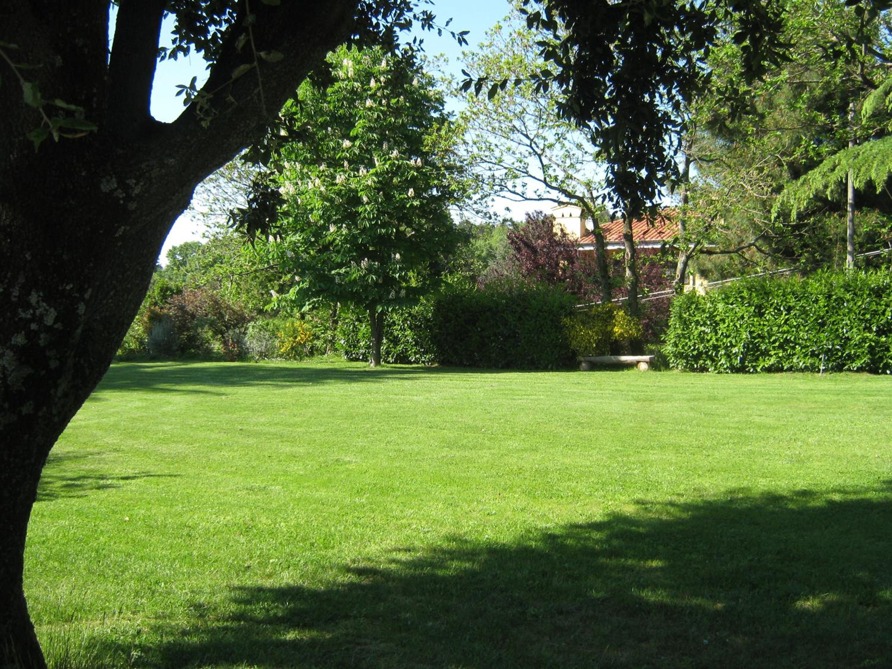Photo 29