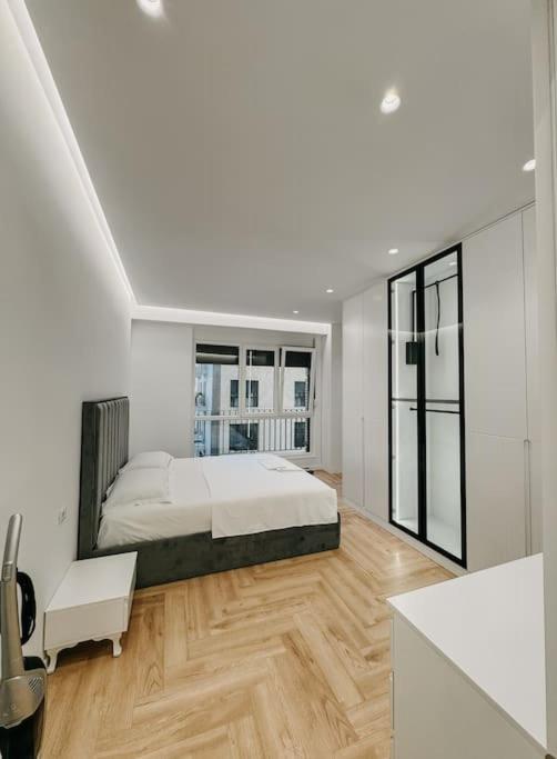 Two bedroom luxury apartment